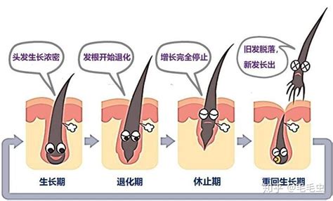 毛发倒生|如何解决“毛发内生”的困扰？下面这7个方法可帮你！